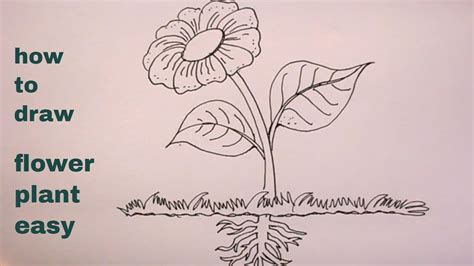 Aggregate more than 129 brinjal tree drawing best - seven.edu.vn