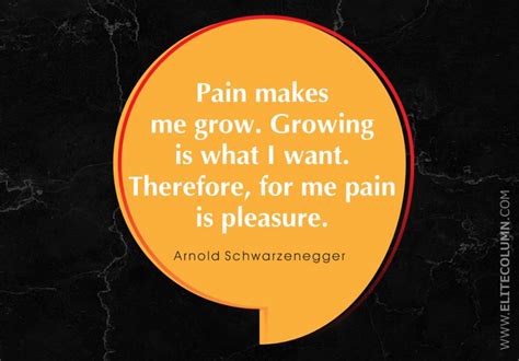 50 Pain Quotes That Will Make You Wise (2023) | EliteColumn