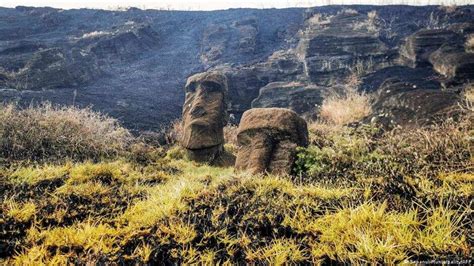 New moai statue uncovered on Easter Island - Hindustan Times