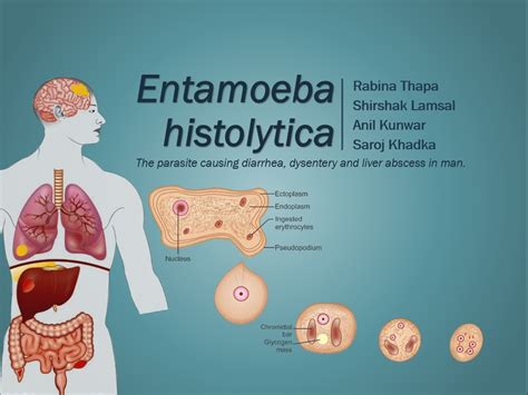 IATSOM - I am the Student of Microbiology: A Powerpoint Presentation on ...