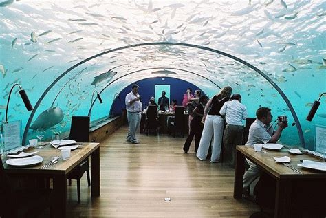 Underwater Restaurant Hilton Hotel, Maldives | Underwater restaurant ...