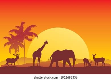 Safari Animals Silhouette Sunset Vector Illustration Stock Vector ...