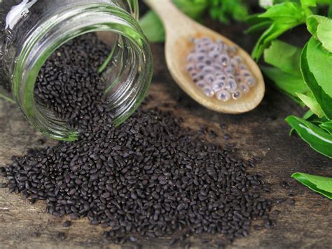 Are Basil Seeds Good For You? (6 Amazing Benefits!)