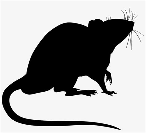 rat silhouette png 10 free Cliparts | Download images on Clipground 2023