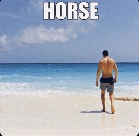 reverse horse at beach saying man meme funny hahaa do these even do ...