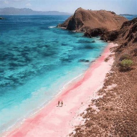 Where To Travel | ️ There’s A MAGICAL Beach In INDONESIA With BABY PINK ...