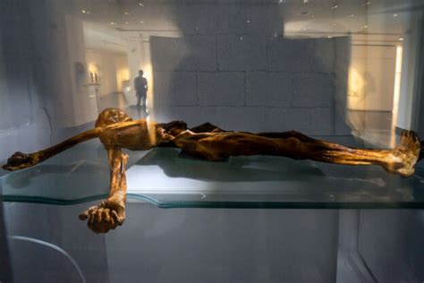 Ötzi 'The Iceman' Mummy and the South Tyrol Museum of Archaeology ...