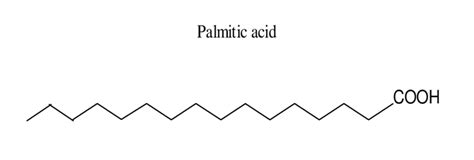 2: Structural formula of palmitic acid. | Download Scientific Diagram