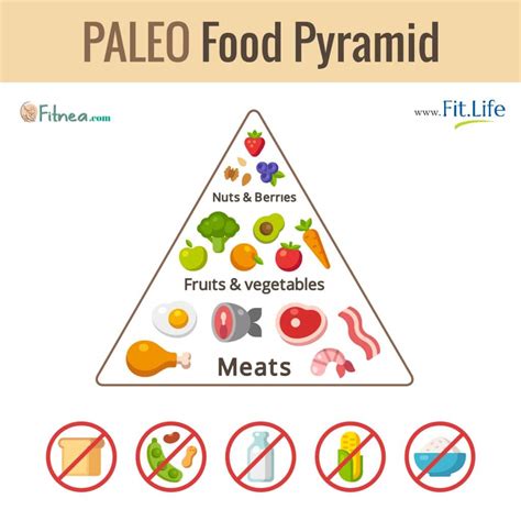 Paleo Food Pyramid - What Foods Does It Contain? | Fitnea.com