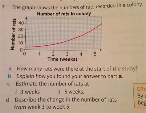 Cubic Graph In Real Life