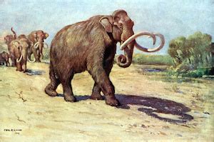 Cenozoic Era | Geography, Animals & Plants | Study.com