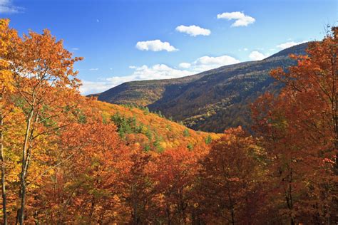 Fall Foliage in the Catskills | Windham, New York - Albergo Allegria