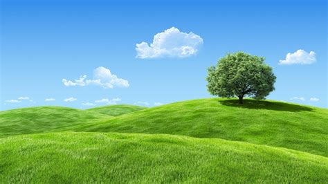 field, Hills, Tree, Nature Wallpapers HD / Desktop and Mobile Backgrounds