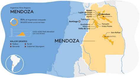 Mendoza | Argentina Wine Regions | Wine Folly