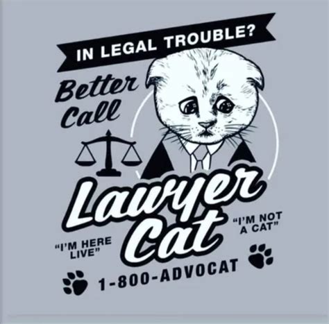 Lawyer cat - Meme by Joeym31 :) Memedroid