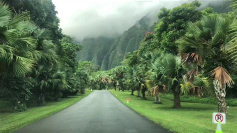 Botanical Garden Honolulu | Fasci Garden