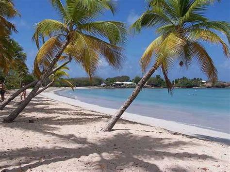 Martinique Beaches Near the Cruise Port