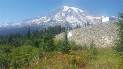 Paradise, Mt. Rainier National Park : r/hiking