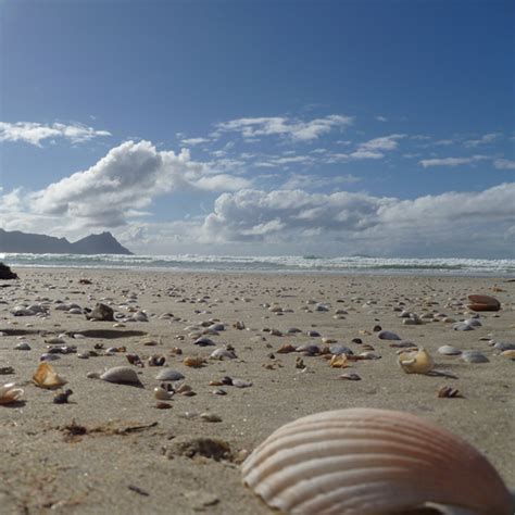 Ruakākā Beach, Bream Bay | WhangareiNZ.com