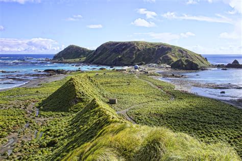 Macquarie Island l Stunning and Unique - Our Breathing Planet