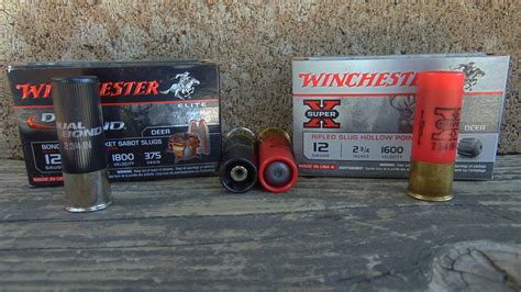 Whitetail Slug Shootout: Rifled vs. Sabot Slugs - swedbank.nl