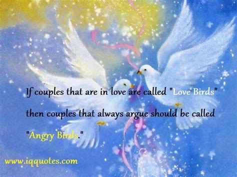 Beautiful Love Birds Images With Quotes - ShortQuotes.cc