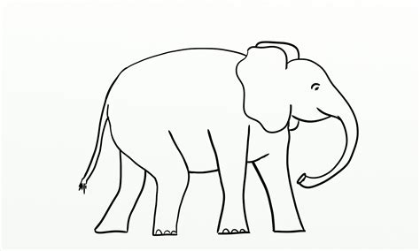 Elephant Outline - 6 Free PDF Printables | Printablee