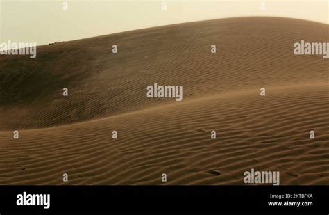 Camel and camel rider walk through the Thar desert ,Jaisalmer,rajasthan ...