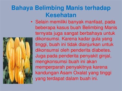 Manfaat buah belimbing manis serta bahaya belimbing manis AKPER PEMKA…