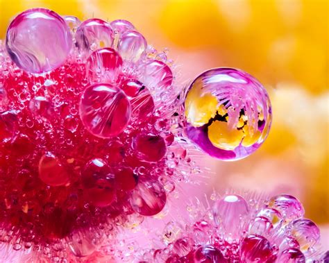 Beginner's Guide to Focus Stacking for Macro Photography | PetaPixel