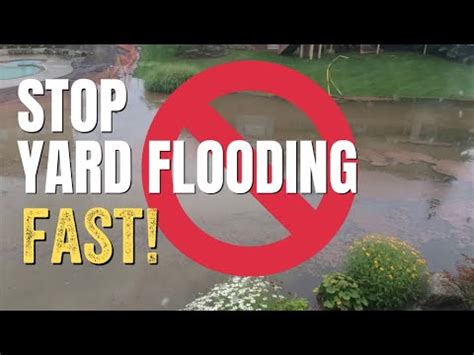 How to Drain a Flooded Backyard - Prevent Yard Flooding with Pump ...