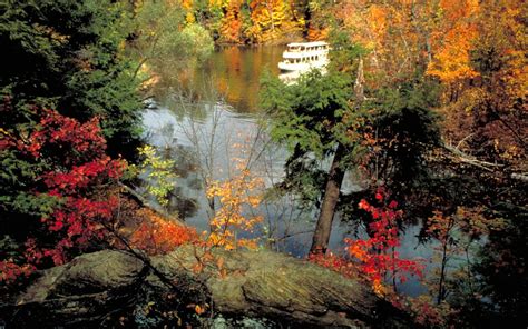 The Best Fall Festival in Every State | Fall vacations, Pictures of ...