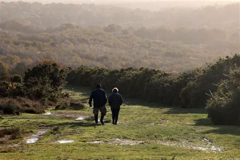 The Ashdown Forest walk leading to 'lovely' woodlands with mini stream ...