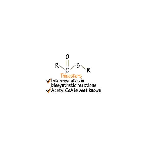 Biochemistry Glossary: Thioester | Draw It to Know It