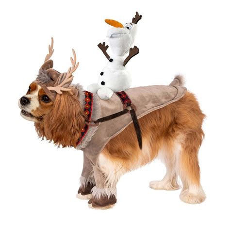 18 Disney Dog Costumes That Will Bring the Magic to Halloween