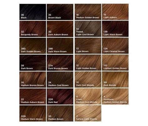 Clairol Semi Permanent Hair Color Chart - Property & Real Estate for Rent