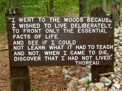 Thoreau Quotes. QuotesGram