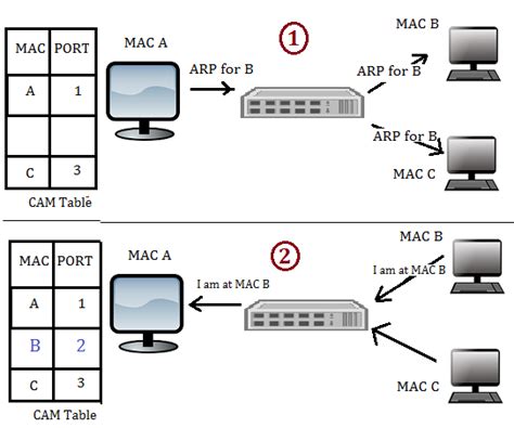 The MAC flooding attack - Python Penetration Testing Essentials ...