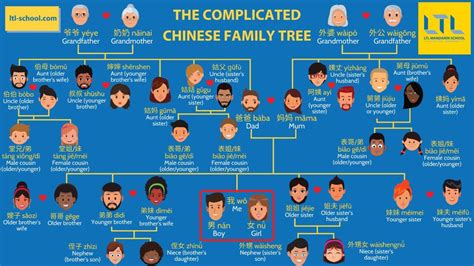 Chinese Family Tree - LTL Language School