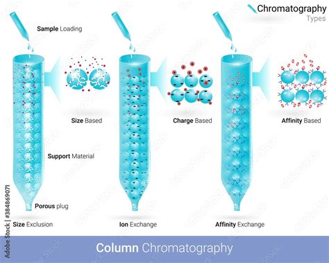 Stockvector Types of column chromatography Affinity chromatography ion ...