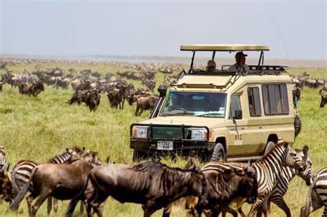 Serengeti tours | Serengeti safaris | Serengeti trips| Serengeti ...