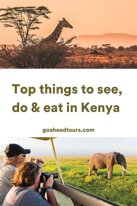 Kenya Travel Guide - Kenya Travel Tips | EF Go Ahead Tours