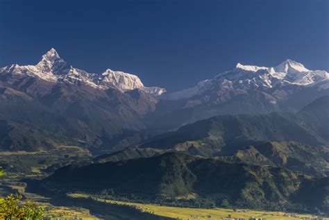 Annapurna III - Mountain Field Guide