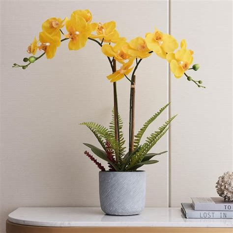 25 in. Yellow Orchid This Yellow Orchid Makes for a Wonderful ...