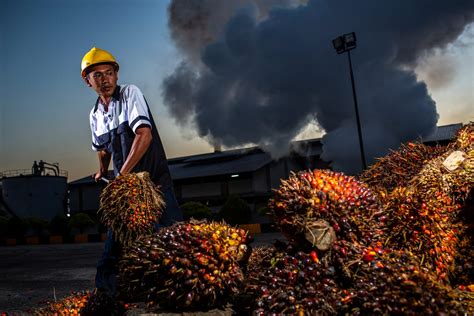 Urgent Action Needed to Prevent Escalating Conflict by Astra Agro ...