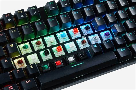 Mechanical Keyboard vs Membrane: Which One Should You Choose