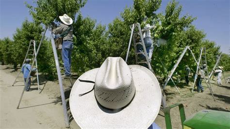 Report: Fresno County ranks 3rd in agriculture production, helping feed ...