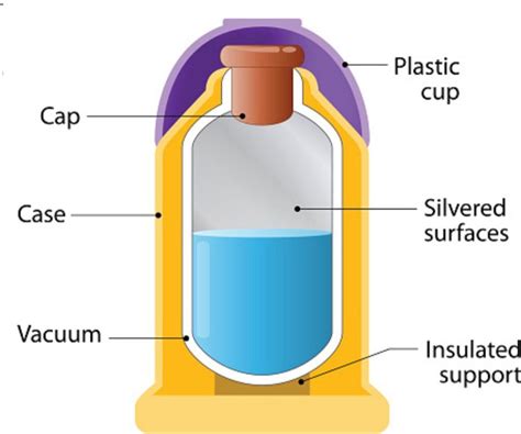 What Are The Parts Of A Thermos | Reviewmotors.co