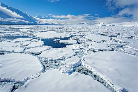 Antarctica registers record temperature of over 20 degrees Celsius - CGTN