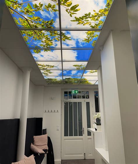 Suspended Ceiling Light Diffuser Panels | Review Home Decor